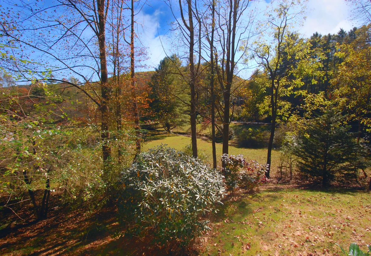 A sweeping view of lush greenery and tall trees, with an open grassy area and distant hills stretching across the horizon. The landscape is vibrant and inviting, ideal for nature walks, birdwatching, or simply enjoying the changing seasons.